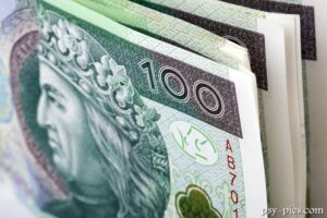 Dofinansowanie na szkolenia i utrzymania psa asystującego