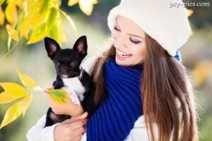 Zanim kupisz Chihuahua