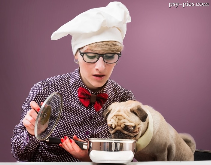 Dieta psa z przewlekłą niewydolnością nerek