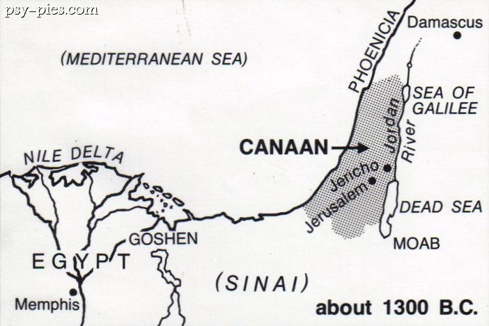 Historia Canaan Dog