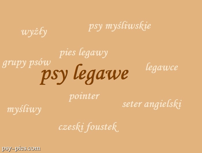 Psy legawe