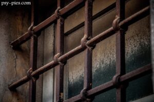 Dogoterapia jako nowatorska forma oddziaływań penitencjarnych