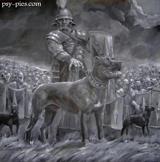 Historia Doga Kanaryjskiego