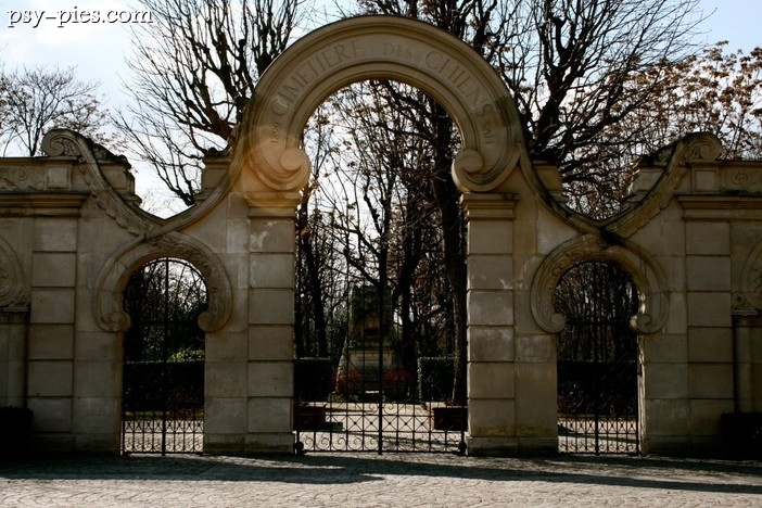 Zwierzęcy cmentarz Cimetiere des Chiens