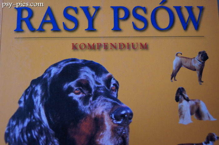 Książka Rasy psów kompendium - Cunliffe Juliette