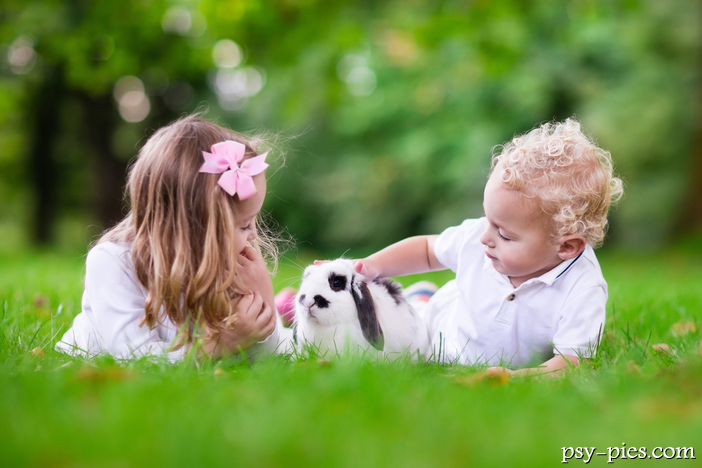 Koty, rybki, króliki i inne zwierzęta domowe