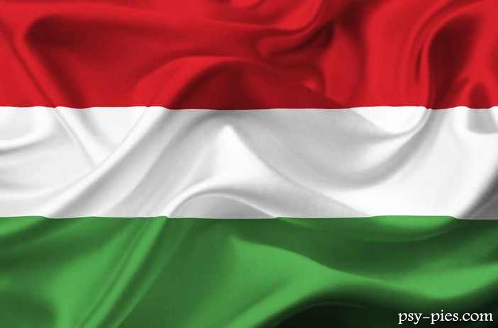 Węgierskie rasy psów