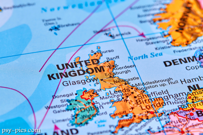 Wyżły angielskie i irlandzkie