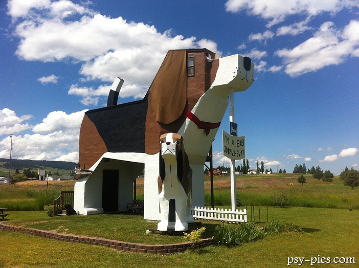 Dog Bark Park Inn motelik w kształcie psa Beagla