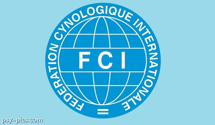 Międzynarodowa Federacja Kynologiczna FCI