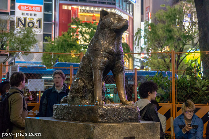 Niezwykła historia psa Hachiko