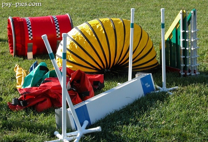 Sprzęt do agility