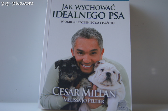 Cesar Millan, zaklinacz psów znany z programu telewizyjnego o szkoleniu psów