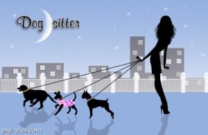 Petsitter opiekun zwierząt