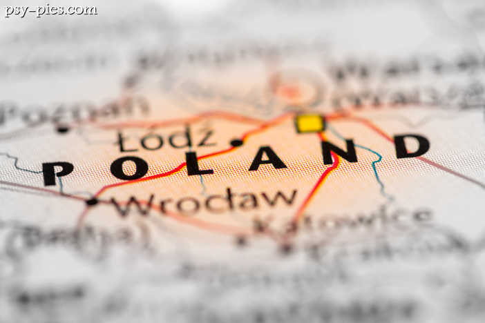Hodowle psów rasowych w Polsce