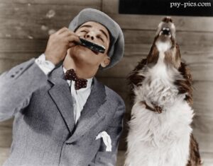 Słynne psy w filmach i bajkach