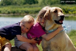 Dogoterapia na czym polega i dla jakiej grupy osób jest skierowana