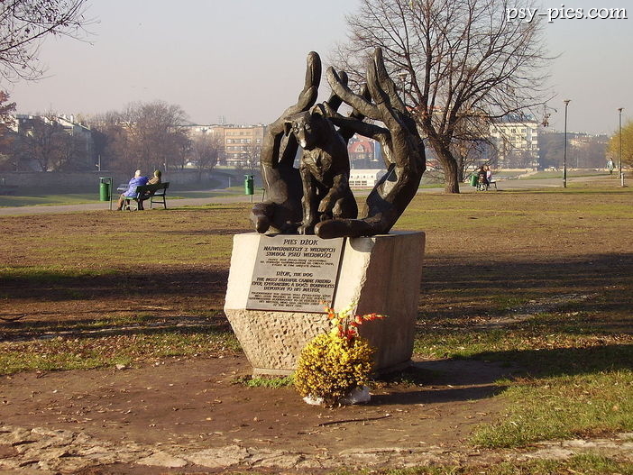 Legenda o psiej wierności pies Dżok
