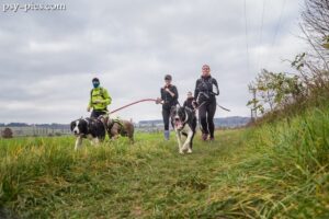 DogTrekking co to jest / jak zacząć dog trekking