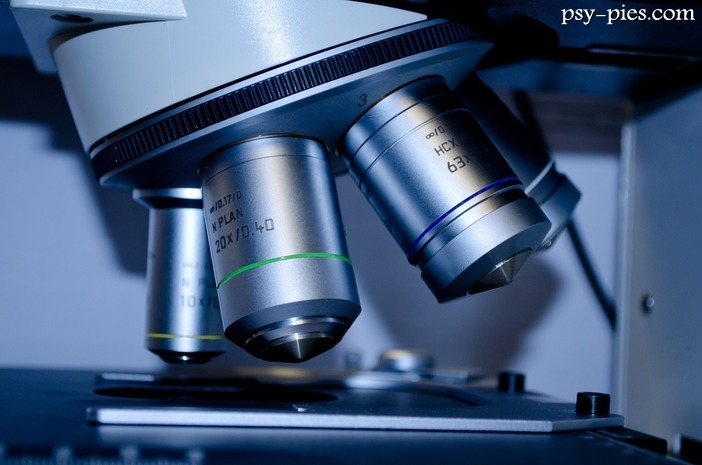 Zapłodnienie in vitro przełom w hodowli psów?