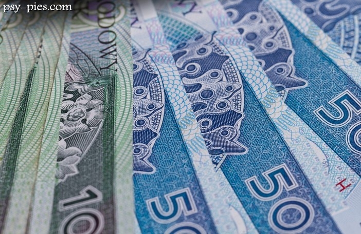 Krakowskie Towarzystwo Opieki nad Zwierzętami w dołku finansowym