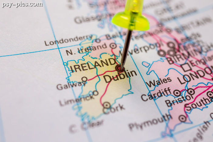 Irlandzki sąd wydał nakaz o uśpieniu psa