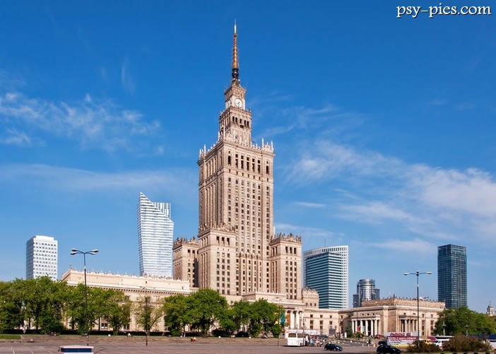 Warszawa czipuje psy i koty