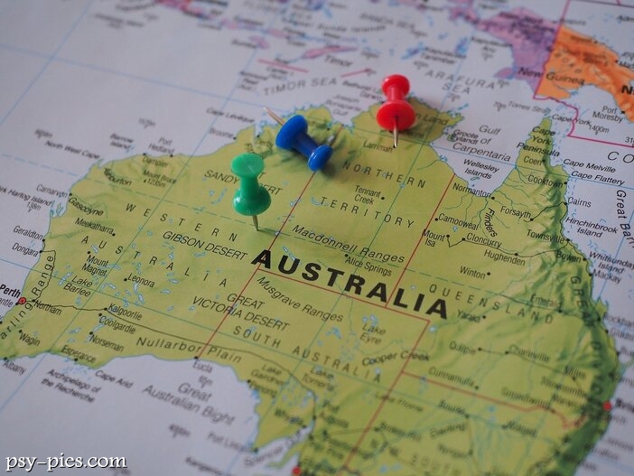 Najpopularniejsze australijskie rasy psów