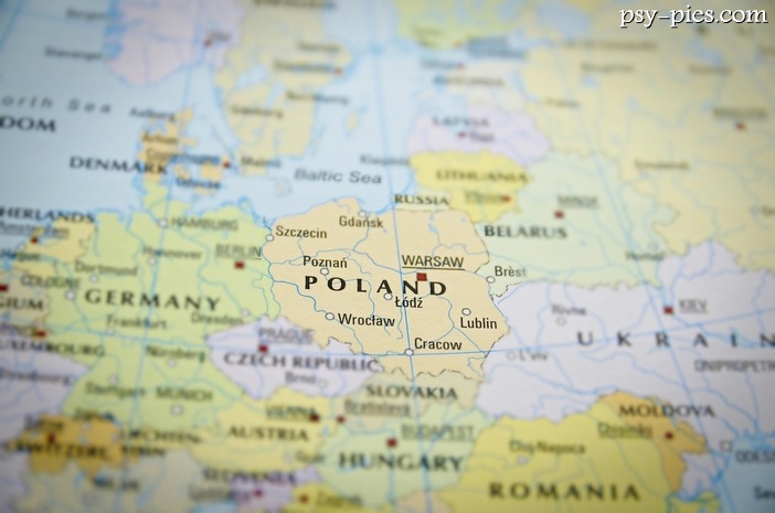 Psowate w Polsce hierarchia i znaczenie w ekosystemie