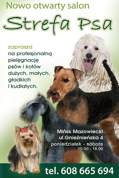 Strefa PSA Salon Pielęgnacji Psów i Kotów