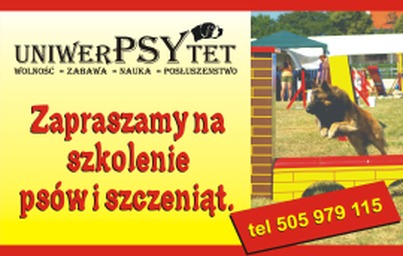UniwerPSYtet Szkolenie Psów