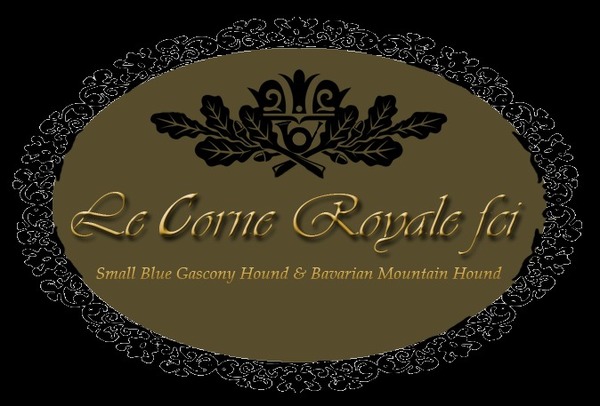 Le Corne Royale FCI