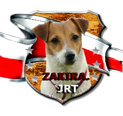 Zakira FCI Jack Russell Terrier