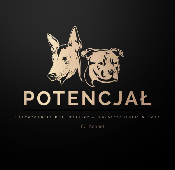 Potencjał FCI