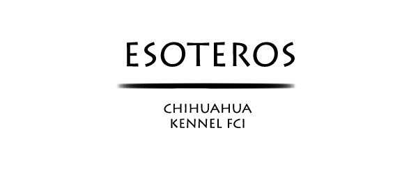 Hodowla chihuahua Esoteros FCI